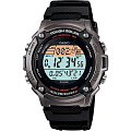 Часы Casio Illuminator W-S200H-1A