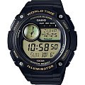 Часы Casio Collection CPA-100-9A