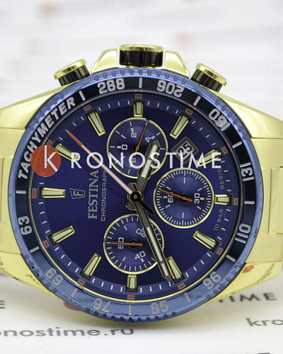 Festina Timeless Chrono F20634/3